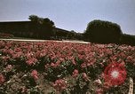 Image of Western White House San Clemente California USA, 1973, second 58 stock footage video 65675056864