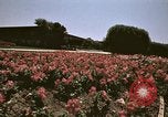 Image of Western White House San Clemente California USA, 1973, second 61 stock footage video 65675056864