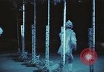 Image of Moscow State Circus Moscow Russia Soviet Union, 1972, second 3 stock footage video 65675056907