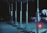 Image of Moscow State Circus Moscow Russia Soviet Union, 1972, second 4 stock footage video 65675056907