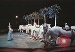 Image of Moscow State Circus Moscow Russia Soviet Union, 1972, second 40 stock footage video 65675056907