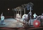 Image of Moscow State Circus Moscow Russia Soviet Union, 1972, second 44 stock footage video 65675056907