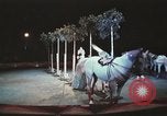 Image of Moscow State Circus Moscow Russia Soviet Union, 1972, second 48 stock footage video 65675056907