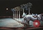 Image of Moscow State Circus Moscow Russia Soviet Union, 1972, second 49 stock footage video 65675056907