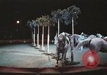 Image of Moscow State Circus Moscow Russia Soviet Union, 1972, second 50 stock footage video 65675056907