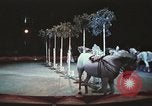 Image of Moscow State Circus Moscow Russia Soviet Union, 1972, second 51 stock footage video 65675056907