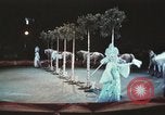 Image of Moscow State Circus Moscow Russia Soviet Union, 1972, second 54 stock footage video 65675056907