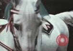 Image of Moscow State Circus Moscow Russia Soviet Union, 1972, second 56 stock footage video 65675056907