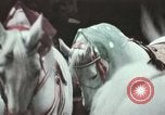 Image of Moscow State Circus Moscow Russia Soviet Union, 1972, second 58 stock footage video 65675056907