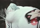 Image of Moscow State Circus Moscow Russia Soviet Union, 1972, second 60 stock footage video 65675056907
