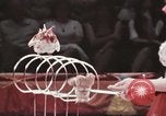 Image of Moscow State Circus Moscow Russia Soviet Union, 1972, second 17 stock footage video 65675056908