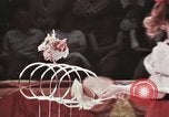 Image of Moscow State Circus Moscow Russia Soviet Union, 1972, second 18 stock footage video 65675056908