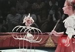 Image of Moscow State Circus Moscow Russia Soviet Union, 1972, second 20 stock footage video 65675056908