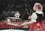 Image of Moscow State Circus Moscow Russia Soviet Union, 1972, second 28 stock footage video 65675056908