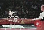 Image of Moscow State Circus Moscow Russia Soviet Union, 1972, second 34 stock footage video 65675056908