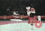 Image of Moscow State Circus Moscow Russia Soviet Union, 1972, second 37 stock footage video 65675056908
