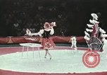 Image of Moscow State Circus Moscow Russia Soviet Union, 1972, second 38 stock footage video 65675056908