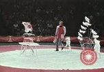 Image of Moscow State Circus Moscow Russia Soviet Union, 1972, second 39 stock footage video 65675056908