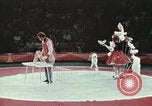 Image of Moscow State Circus Moscow Russia Soviet Union, 1972, second 47 stock footage video 65675056908