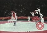 Image of Moscow State Circus Moscow Russia Soviet Union, 1972, second 48 stock footage video 65675056908