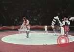 Image of Moscow State Circus Moscow Russia Soviet Union, 1972, second 51 stock footage video 65675056908