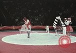 Image of Moscow State Circus Moscow Russia Soviet Union, 1972, second 52 stock footage video 65675056908