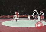 Image of Moscow State Circus Moscow Russia Soviet Union, 1972, second 53 stock footage video 65675056908