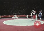 Image of Moscow State Circus Moscow Russia Soviet Union, 1972, second 56 stock footage video 65675056908