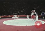 Image of Moscow State Circus Moscow Russia Soviet Union, 1972, second 57 stock footage video 65675056908