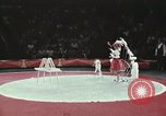 Image of Moscow State Circus Moscow Russia Soviet Union, 1972, second 59 stock footage video 65675056908
