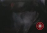 Image of circus performers Moscow Russia Soviet Union, 1972, second 1 stock footage video 65675056909