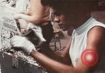 Standbild Nixon Werbespot United States USA, 1968, aus Sekunde 36 historischem Filmmaterial Videoclip 65675056979