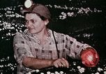 Image of political broadcast United States USA, 1968, second 43 stock footage video 65675056981