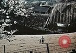 Image of political broadcast United States USA, 1968, second 47 stock footage video 65675056981