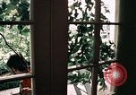 Image of Tricia's wedding day Washington DC USA, 1971, second 9 stock footage video 65675056987
