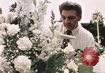Image of Tricia's wedding day Washington DC USA, 1971, second 29 stock footage video 65675056987
