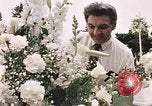 Image of Tricia's wedding day Washington DC USA, 1971, second 30 stock footage video 65675056987