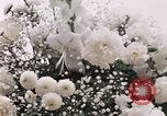 Image of Tricia's wedding day Washington DC USA, 1971, second 36 stock footage video 65675056987