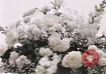 Image of Tricia's wedding day Washington DC USA, 1971, second 37 stock footage video 65675056987