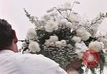 Image of Tricia's wedding day Washington DC USA, 1971, second 38 stock footage video 65675056987