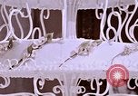 Image Tricia's Wedding Cake Washington DC USA, 1971, de la seconde 37 séquences d'archives historiques vidéo 65675057001