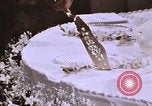 Image Tricia's Wedding Cake Washington DC USA, 1971, de la seconde 21 séquences d'archives historiques vidéo 65675057003