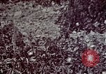 Image of President Richard Nixon Washington DC USA, 1972, second 25 stock footage video 65675057109