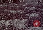 Image of President Richard Nixon Washington DC USA, 1972, second 26 stock footage video 65675057109