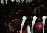 Image of President Richard Nixon Washington DC USA, 1972, second 57 stock footage video 65675057112
