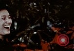 Image of President Richard Nixon Washington DC USA, 1972, second 58 stock footage video 65675057112