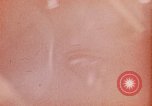 Image of President Richard Nixon Berlin Germany, 1969, second 1 stock footage video 65675057254