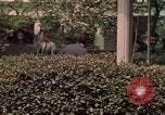Immagine di Il presidente Nixon e famiglia Washington DC USA, 1973, secondo 53 filmato di repertorio 65675057318