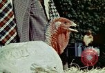 Immagine di La First Lady Pat Nixon Washington DC USA, 1973, secondo 14 filmato di repertorio 65675057331