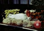 Immagine di La First Lady Pat Nixon Washington DC USA, 1973, secondo 23 filmato di repertorio 65675057331